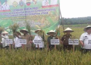 Petani di Sumut Diimbau Gunakan Pupuk Organik