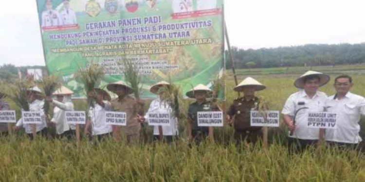 Petani di Sumut Diimbau Gunakan Pupuk Organik