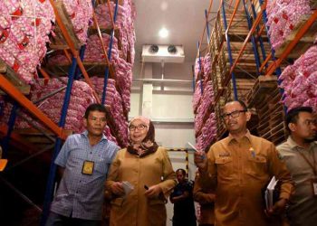 Isu Virus Corona Tak Pengaruhi Stok Bawang Putih di Sumut