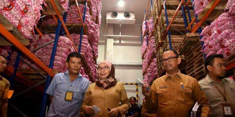 Isu Virus Corona Tak Pengaruhi Stok Bawang Putih di Sumut