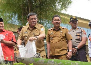 Wakil Bupati Hadiri Penanaman Pohon Dalam Rangka HUT PDI-P Ke 47