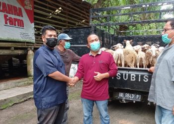 Aliyah Rizq Farm Sebelih 2.000 Ekor Hewan Kurban Dibagikan ke Warga Sumut