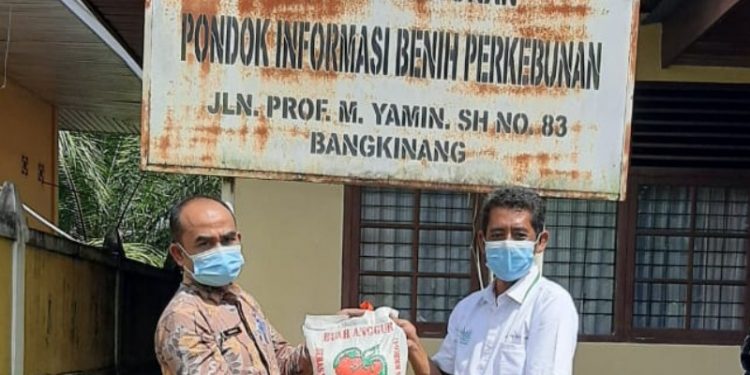 Meriahkan Hari Jadi Kampar ke 77 Tahun, PT TYE  Berikan Bantuan Beras
