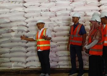 PT Pupuk Indonesia: Stok Pupuk Bersubsidi di Sumut Aman Hingga 2023