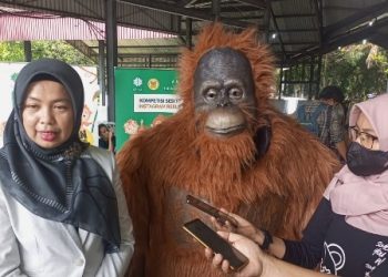 Orangutan Tapanuli Hanya Ada di Indonesia