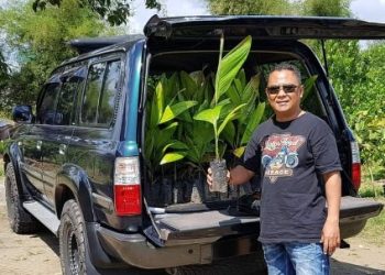 Petani Aren di Sumut Berharap Dukungan Pemerintah