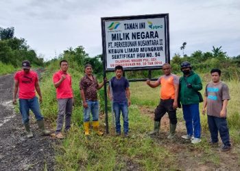 Pembersihan Areal HGU 94 Limau Mungkur Berlanjut