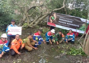 Pertagas ONSA Menanam 500 Pohon Mangrove di Lingkungan Belawan