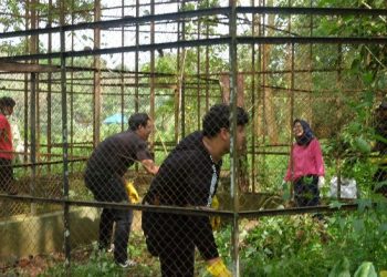 Peduli Medan Zoo, Influencer Medan Donasikan Pakan Hingga Gelar Aksi Bersih – bersih