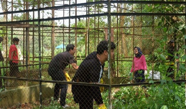 Peduli Medan Zoo, Influencer Medan Donasikan Pakan Hingga Gelar Aksi Bersih – bersih