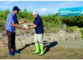 Indosat Ooredoo Hutchison Optimalkan Teknologi Untuk Konservasi Mangrove di Aceh