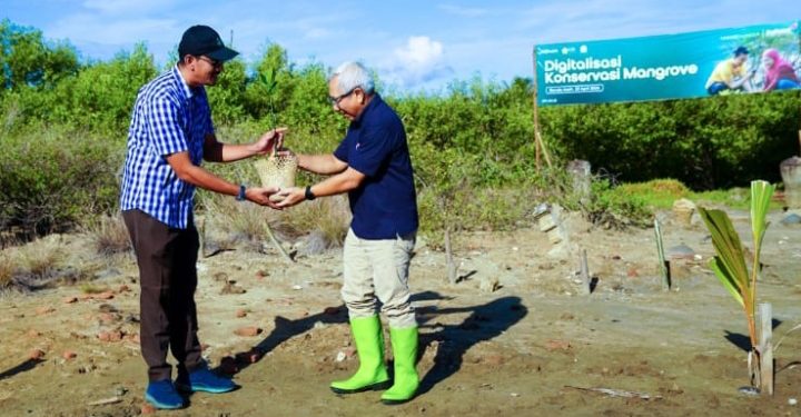 Indosat Ooredoo Hutchison Optimalkan Teknologi Untuk Konservasi Mangrove di Aceh