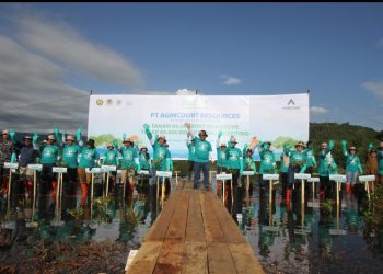 Agincourt Resources Tanam Lagi 60.000 Mangrove dan 50.000 Bibit Kerang dan Kepiting di Sumut