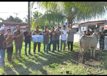 Telkom Regional 1 Sumatera Salurkan Donasi Sapi dan Kambing Kurban di Idul Adha