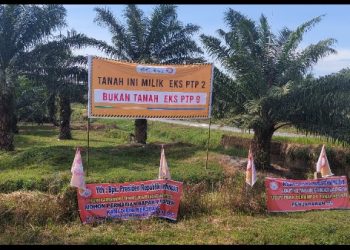 Meski Gunakan Surat Palsu, MA Menangkan Gugatan Masyarakat Penggugat Lahan Kebun Penara PTPN 2