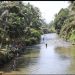 Agincourt Resources Tebar Puluhan Ribu Bibit Ikan Di Lubuk Larangan Dorong Ekosistem Perairan Lestari