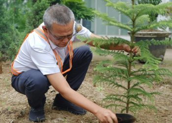 KAI Bandara Tanam Pohon di Kawasan Stasiun Medan dan Yogyakarta Dukung Gerakan Satu Juta Pohon