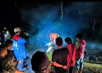 TPL Bantu Atasi Kemacetan Lalu Lintas. Medan – Parapat Sumut Akibat Pohon Tumbang
