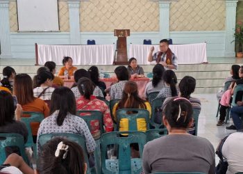 Sofyan Tan Highlight 8 Catatan Penting untuk Masuk Dalam RUU Sisdiknas