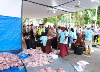 Pertamina Patra Niaga Salurkan 127 Hewan Kurban saat Idul Adha 1446 Hijriah