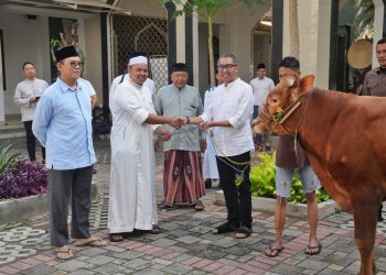 PGN Group Bagikan 955 Hewan Kurban Idul Adha Untuk Masyarakat