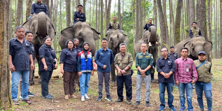 Pertamina Patra Niaga FT Pematang Siantar Dukung Wisata Edukasi Konservasi Gajah di Aek Nauli