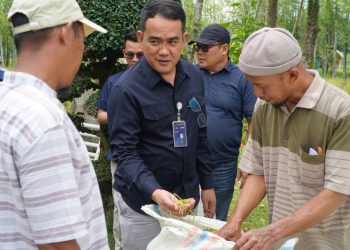 Perum BULOG Kanwil Sumut Serap 3 Ton Gabah Kering Panen Petani Desa Karang Rejo Stabat Kabupaten Langkat Sumut