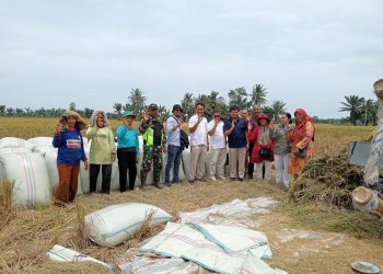 Perum BULOG Kanwil Sumut Sudah Serap 41.102 Ton GKP Petani