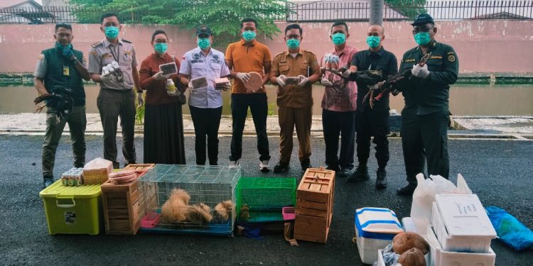 Karantina dan Bea Cukai Sumut Musnahkan Komoditas Tanpa Dokumen Karantina