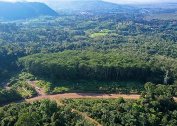 Pascabanjir, Pemerintah Perkuat Penanganan Lahan Kritis dan Tata Kelola Daerah Aliran Sungai , Emas Martabe Sudah Rehabilitasi 41,76 Hektare