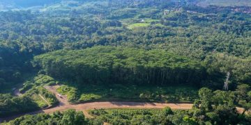 Pascabanjir, Pemerintah Perkuat Penanganan Lahan Kritis dan Tata Kelola Daerah Aliran Sungai , Emas Martabe Sudah Rehabilitasi 41,76 Hektare