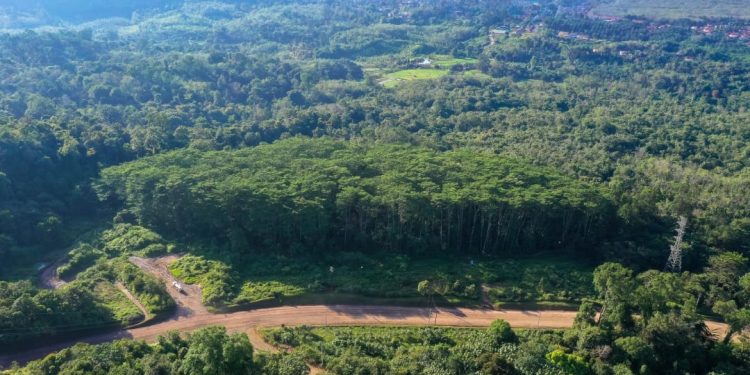 Pascabanjir, Pemerintah Perkuat Penanganan Lahan Kritis dan Tata Kelola Daerah Aliran Sungai , Emas Martabe Sudah Rehabilitasi 41,76 Hektare