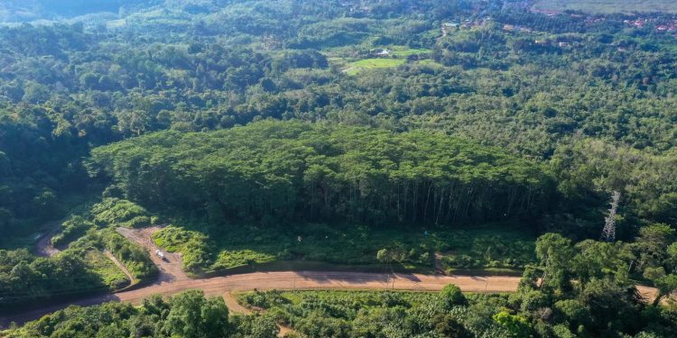 BAP: Strategi Konservasi Agincourt Resources Sudah Memenuhi Prinsip Hierarki Mitigasi