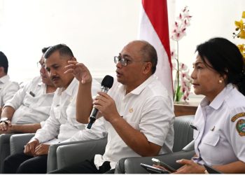 Pemerintah Provinsi Sumatera Utara Targetkan Investasi Rp100 Triliun Hingga 2029