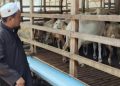 PT Aliyah Rizq Agriculture Bersiap Menjalankan Pemotongan dan Pembagian Hewan Kurban di Sumatera Utara, Diperkirakan Jadi Program Ibadah dan Sosial Terbesar