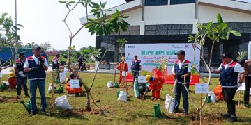 Hutama Karya Tanam 17.000 Pohon di Koridor Jalan Tol Trans Sumatera, Bukti Kepedulian Lingkungan