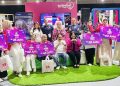Saring 33.000 Pendaftar Kompetisi Modal Pintar 2026, XLSMART Cetak UMKM Perempuan Siap Naik Kelas dan Perluas Pasar