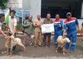Pertagas Salurkan 475 Hewan Kurban Idul Adha 2026 ke 300 Titik di Wilayah Operasi Perusahaan