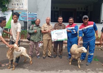 Pertagas Salurkan 475 Hewan Kurban Idul Adha 2026 ke 300 Titik di Wilayah Operasi Perusahaan