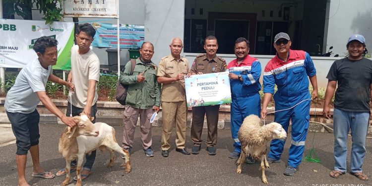 Pertagas Salurkan 475 Hewan Kurban Idul Adha 2026 ke 300 Titik di Wilayah Operasi Perusahaan
