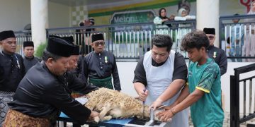 Kurban Idul Adha 2026 PT Aliyah Rizq Agriculture di Sumatera Utara Raih Rekor Asia Dan ASEAN, Sembelih 1.900 Ekor Domba
