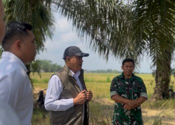 BULOG Serap 3 Juta Ton Gabah-Beras Petani Jadi Rekor Baru Penguatan Cadangan Pangan Nasional, Sumut “Sumbang” 14.992,34 Ton