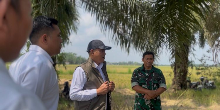 BULOG Serap 3 Juta Ton Gabah-Beras Petani Jadi Rekor Baru Penguatan Cadangan Pangan Nasional, Sumut “Sumbang” 14.992,34 Ton