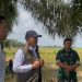 BULOG Serap 3 Juta Ton Gabah-Beras Petani Jadi Rekor Baru Penguatan Cadangan Pangan Nasional, Sumut “Sumbang” 14.992,34 Ton