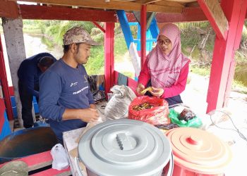 Pertamina Patra Niaga Regional Sumbagut Menjadi Pionir Probiotik MOL di Lhokseumawe, Perkuat Adaptasi Perubahan Iklim Petambak Udang Melalui Gampong Berdikari
