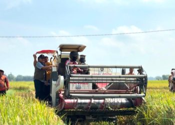 Perum BULOG Kantor Wilayah Sumut Optimistis Capai Target Penyerapan GKP 2026, BULOG Cetak Rekor Pengadaan Beras di Atas 4 Juta Ton