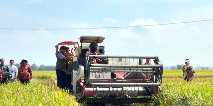 Perum BULOG Kantor Wilayah Sumut Optimistis Capai Target Penyerapan GKP 2026, BULOG Cetak Rekor Pengadaan Beras di Atas 4 Juta Ton