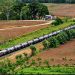 Kereta Api Perkuat Distribusi Barang, Dukung Pertumbuhan Ekonomi Sumut, Juli-Agustus Angkut 238.334 ton